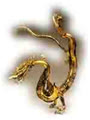 diepta