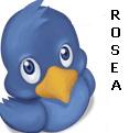 rosea7