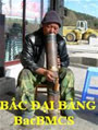 bacbmcs