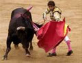 Matador5599