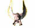 oichungkhoan