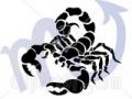 Scorpion_BLACK