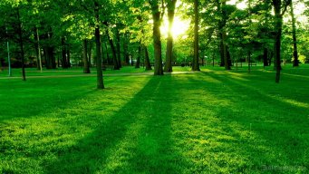 nhiethuyettuoitre195