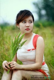 kenh24h