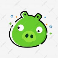 Green_pig