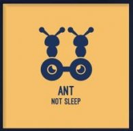 TheAnt