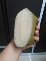 Tahoaianh
