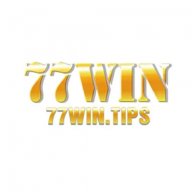 77wintips