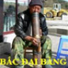 bacbmcs