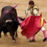 Matador5599