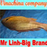 vinachina