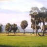 luaangiang
