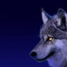 Wolves_will