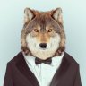 Wolf_Of_VNindex