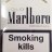 MarlboroGold
