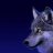 Wolves_will