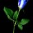 Soi_cophieu999